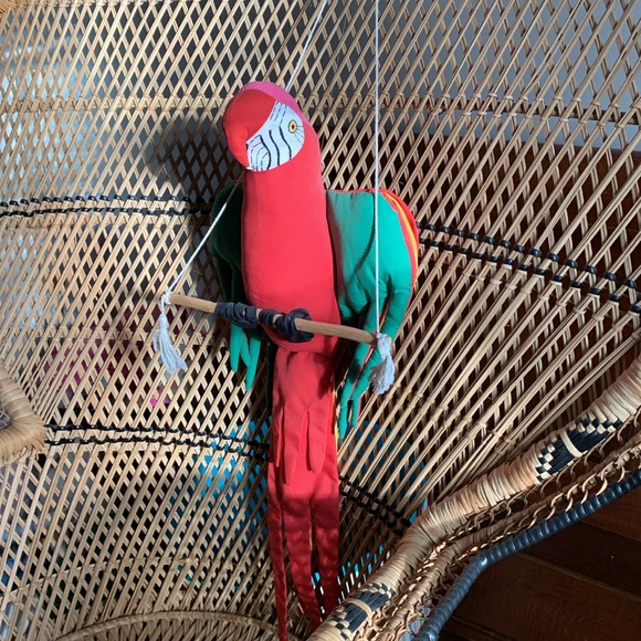 🦜 Parrot - Picture 2 of 5